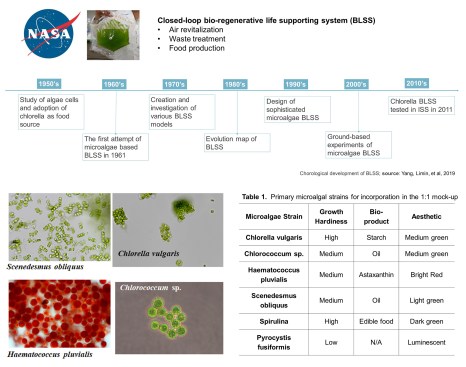Timeline of bioregenerative life-supporting system research and table of six microalgae species tested in the mock-up