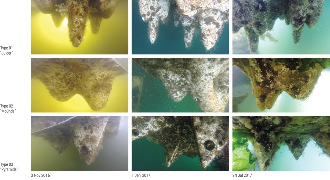 Tracking biofouling on three prototypes—dubbed the juicer, mounds, and pyramids—against time.