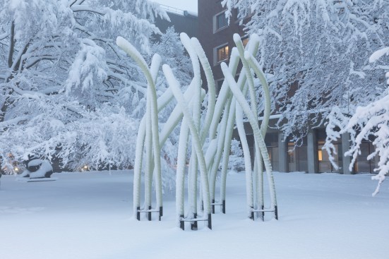 Fiberbots enduring a Northeast winter