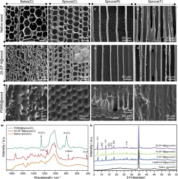 Morphological and physico-chemical characterization of native wood, ZIF-8@wood, and PDMS@wood samples from researchers at Swiss Federal Laboratories for Materials Science and Technology in Dübendorf and Eidgenössische Technische Hochschule Zürich, published in Matter