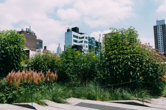 Landscaping along the High Line has matured in the last decade and helped soften the project's sharp edges