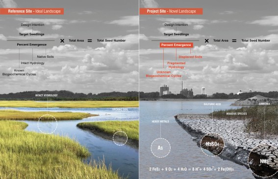 ASLA 2020 Professional Research Honor Award for "Seeding Specificity: Materials and Methods for Novel Ecosystems" by Mhan Rykiel Associates.