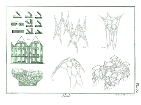 Reimagining heavy timber joinery into four structural systems: a frame, column, shell, and hedge