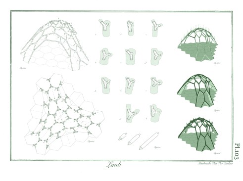 Three-legged reticulated shell composed of 11 commonly occurring parts