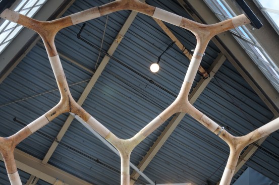 Detail, top of reticular shell showing different species of wood