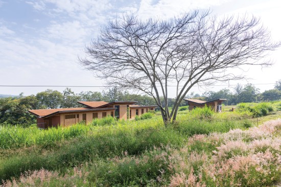 The Rwanda Institute for Conservation Agriculture.