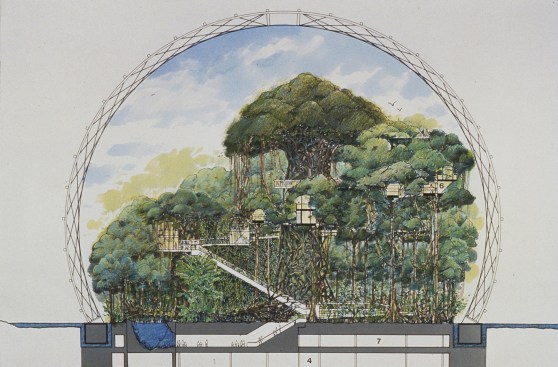 Cambridge Seven Associates (American, est. 1962). Tsuruhama Rain Forest Pavilion, Osaka, Japan. Project. 1993–95. Section drawing showing the underground levels and the paths at the forest level. 1994–95. Marker and Prismacolor pencil on black-line diazo print, 20 × 30″ (50.8 × 76.2 cm). Collection Cambridge Seven Associates.