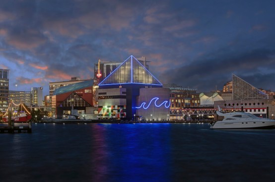 The National Aquarium in Baltimore.