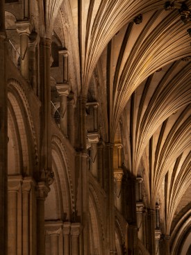 A bespoke modular track system, tucked within the columns' fluted profile, provides the flexibility to locate and direct light where needed.