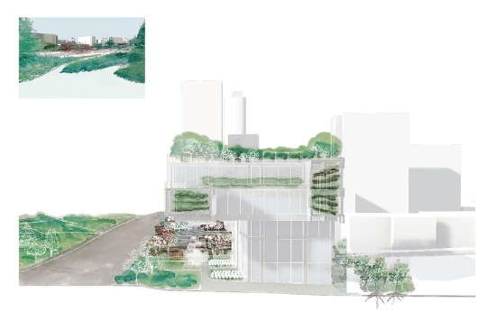 Jana Bawaba’s design for an urban forest knowledge center for Ottawa’s Experimental Farm and Arboretum.