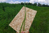 Plantd hemp-based OSB prototype