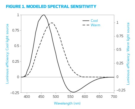 Figure 1. Circadian light is determined by these spectral weighting functions for cool and warm light sources.
