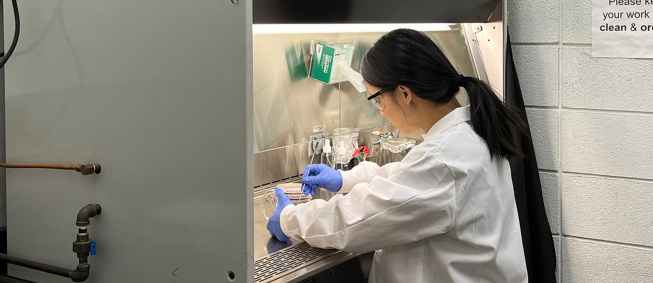 The work of Lili Cai, Ph.D., assistant professor of forest & sustainable products, paves the way for greener building practices by turning waste into sustainable solutions for wood preservation