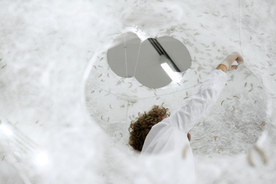 Silk Pavilion (2013). View through the apertures as the silkworms skin the structure.