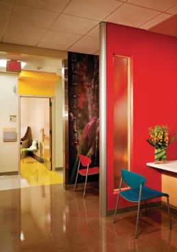 Pops of color provide visual relief throughout the facility, including the various patient exam areas.