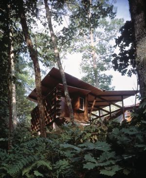 The HoneyHouse expresses the complex engagement with nature that continues to pervade his work.
