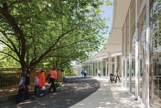 The southern face of the building has a sinuous curve, dsigned in part to reflect the shape of the garden's rare green-flowering cherry tree.