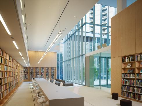 The library. 